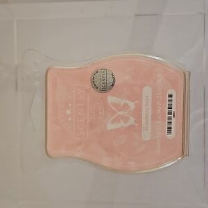 Strawberry Swirl Scentsy Bar - New